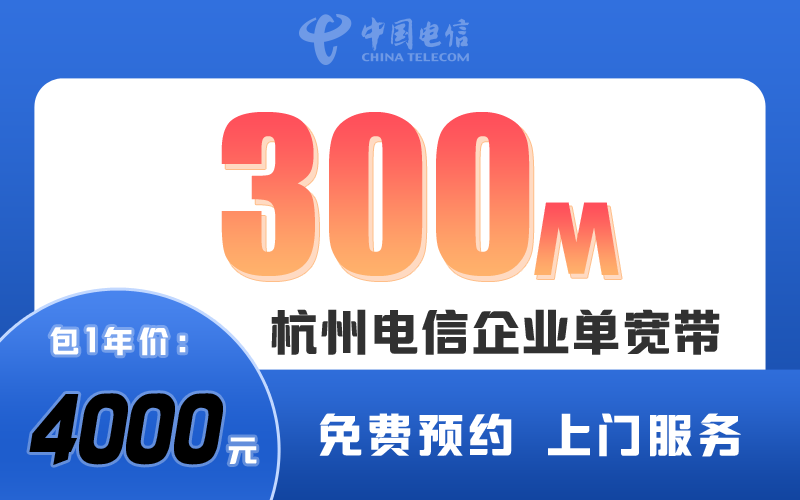 杭州电信企业300M包1年4000元